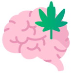 تاثیر ماریجوانا بر مغز